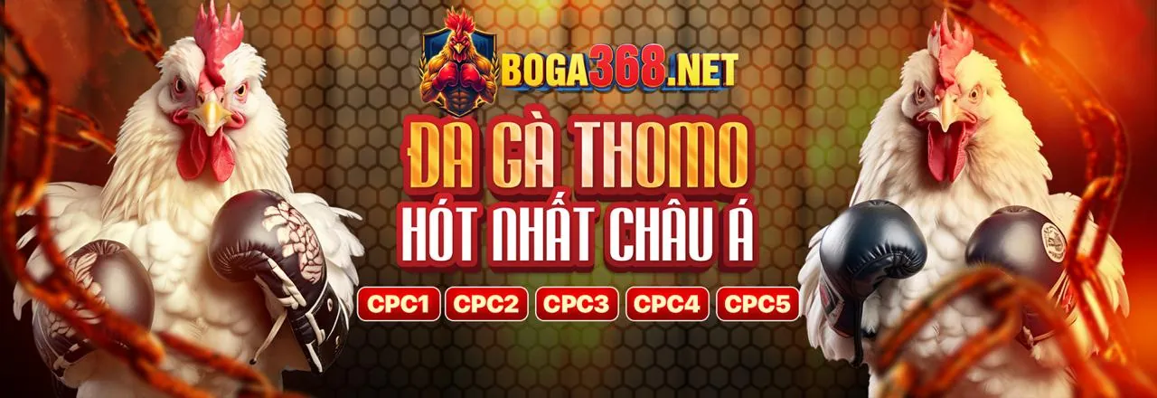 Các tính năng và trò chơi của ứng dụng MKSport