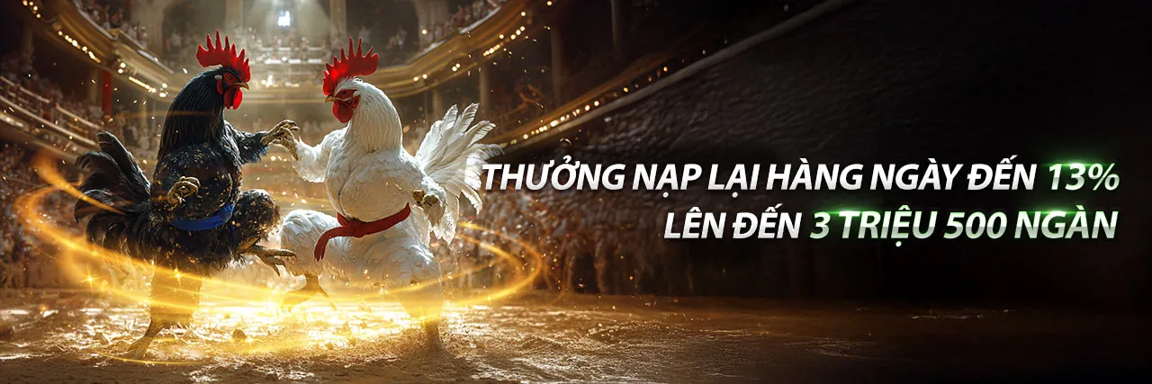 Hình ảnh chính về các chương trình khuyến mãi MKSport hấp dẫn và độc quyền